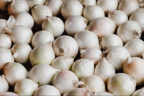 Fresh White Onion, Packaging Size : 5-25kg