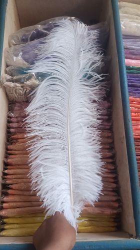 Ostrich Feather, Color : Purple, Packaging Type : Piece For Embroidery