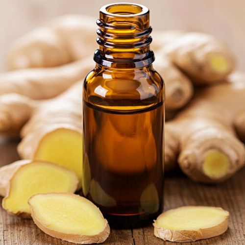 Organic Kreation Ginger Essential Oil, Color : Pale Yellow