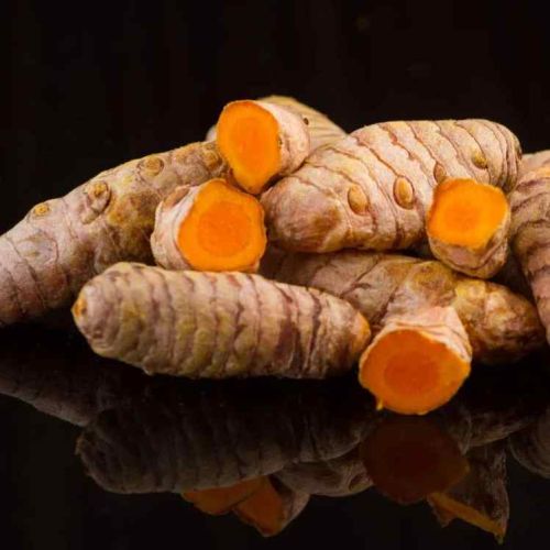 Natural Raw Turmeric Finger Food Grade, Packaging Type : Gunny Bags
