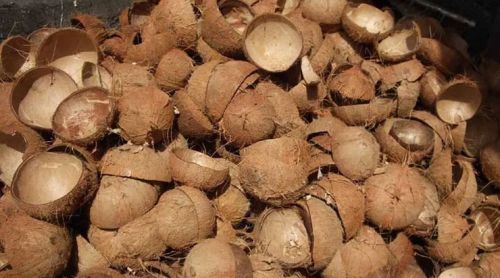 Natural Raw Coconut Shell, Color : Brown Dried