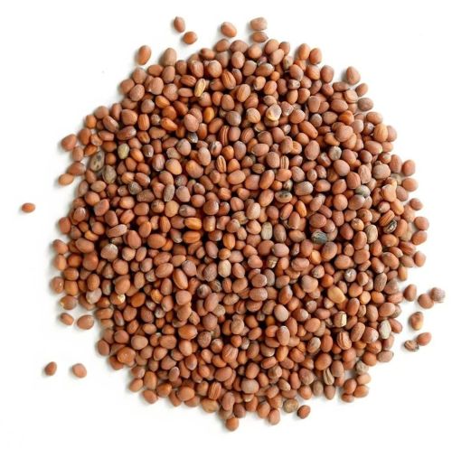 Organic Hybrid Radish Seeds, Color : Brown Dried