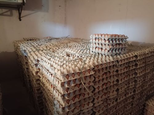 Broken Eggs, Color : Brown, Creamy, Packaging Type : Caret, Tray