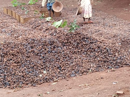 Iron Ore Lumps, Usage : Steel making industry