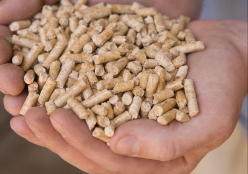 Firewood Biomass Pellets for Heating Purposes