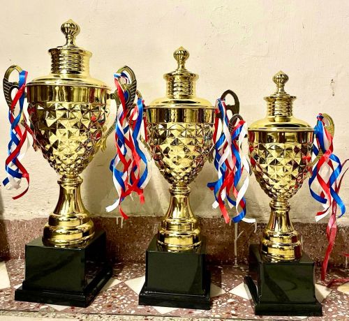 Iron Metal Cup, Shape : Round, Packaging Type : Gold