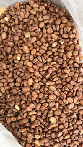 Australian Fava Beans, Color : Brown, Packaging Type : Jute Bag