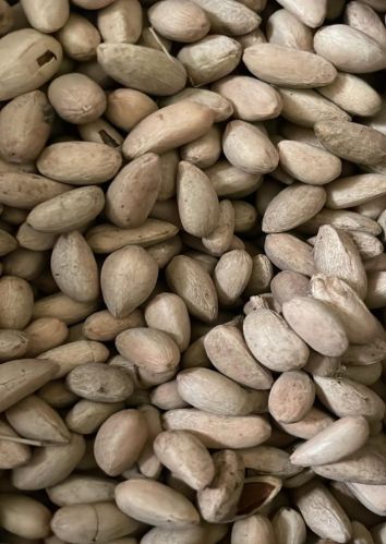 Organic Neem Seeds, Packaging Type : Brown