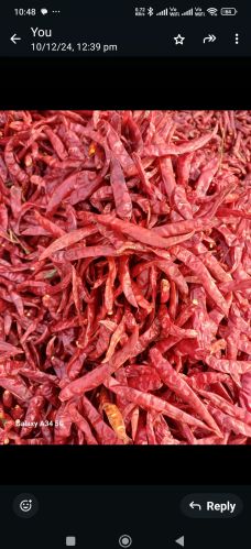 Natural S17 Teja Chilli, Color : Red, Packaging Size : 20Kg, 50Kg