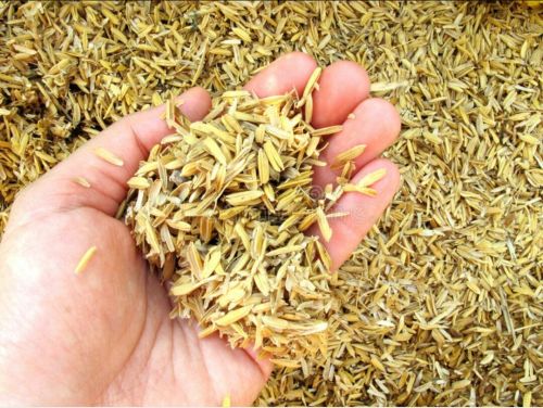 Rice Husk, Moisture : 2%, Packaging Size : 25-50kg