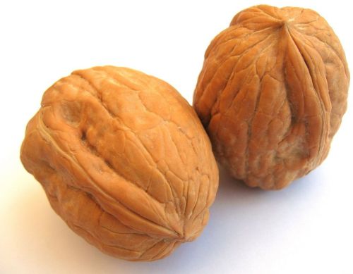 Whole Walnut, Color : Brown, Packaging Type : Bulk Packaging