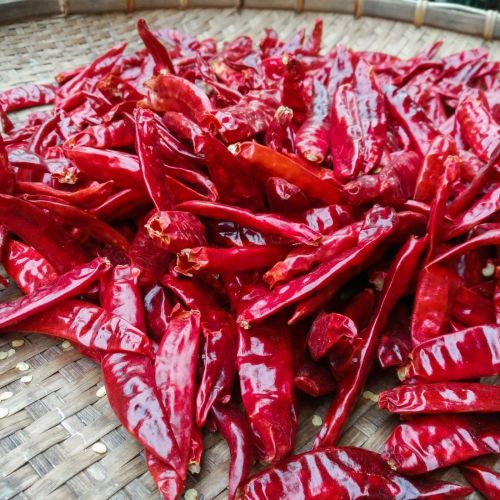 Dry Red Chilli, Packaging Size : 5-25kg, Grade Standard : Food Grade