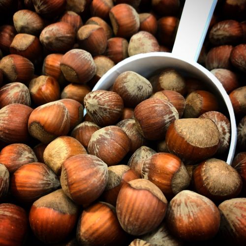 Raw Hazelnuts, Color : Brown, Packaging Type : Sealed Bag