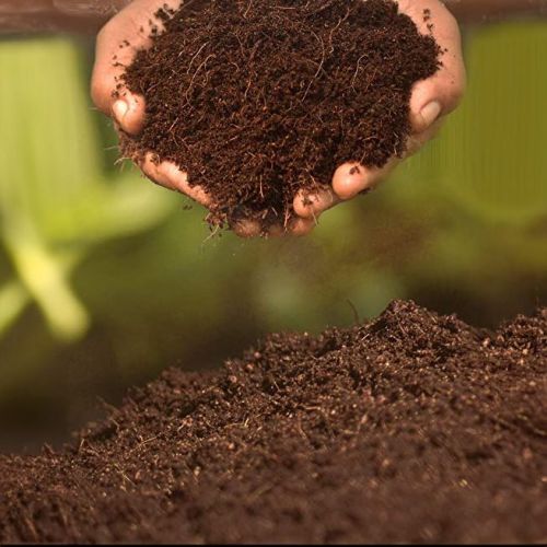 Cocopeat Powder
