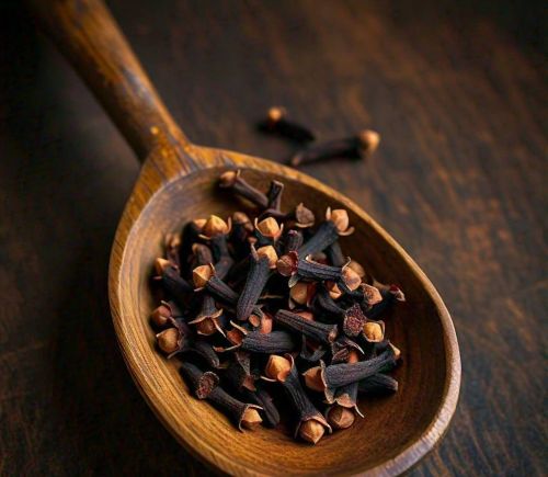 Dry Cloves, Color : Brown, Packaging Type : Sealed Container