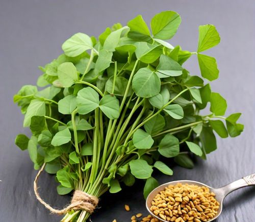 Fenugreek seeds, Packaging Size : 5-25kg, Packaging Type : Brown