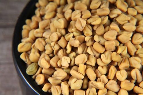 Natural Fenugreek Seed, Packaging Size : 10Kg, 20Kg, 25Kg, 50Kg