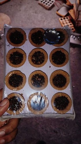 Puneshwari Cup Incense Dhoop Sambrani