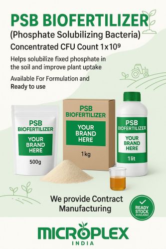 Phosphate Solubilizing Bacteria