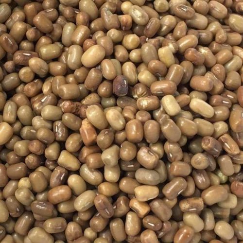 Organic Moth Dal, Color : Brown Dried, Certification : FSSAI