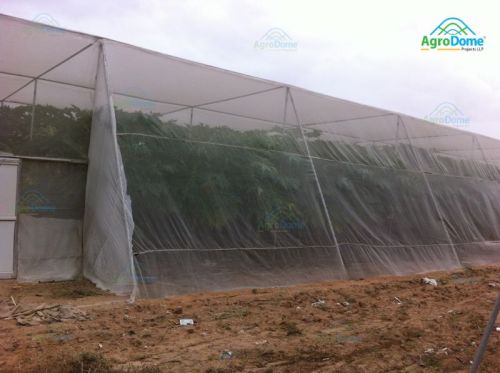 Shade Net House for Papaya Orchard Structure