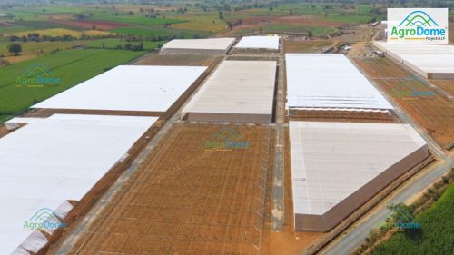 Polyethylene Single Layer Flat Roof Net House, Packaging Type : Green