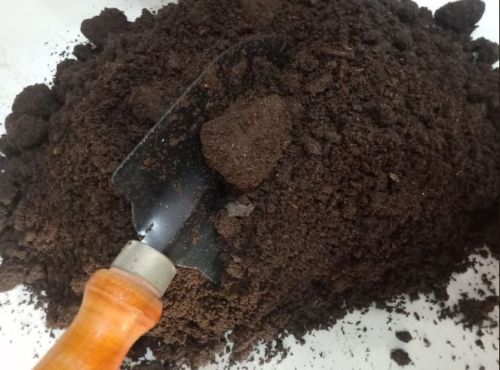 Brown Cow Dung Vermicompost, Moisture : 10-20%, Standard : Bio Grade