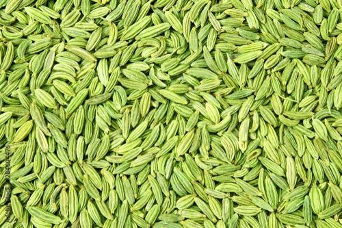 Natural A Grade Fennel Seeds, Color : Green