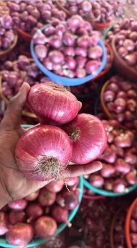 Nashik Red Fresh Onion for Cooking