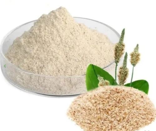 Psyllium Husk Powder, Packaging Type : Plastic Packet