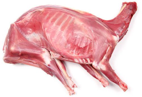 Fresh Lamb Meat, Packaging Type : Vacuum-sealed for Cooking