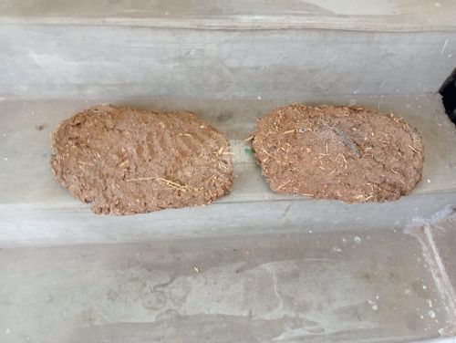 Brown Cow Dung Cake, Packaging Size : 5-25kg