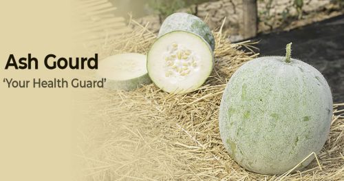 Ash Gourd Powder, Packaging Size : 5Kg for Cooking, Restaurant, Food