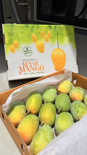 Natural Organic Kesar Mango, Packaging Size : 10Kg, 20-30 Kg