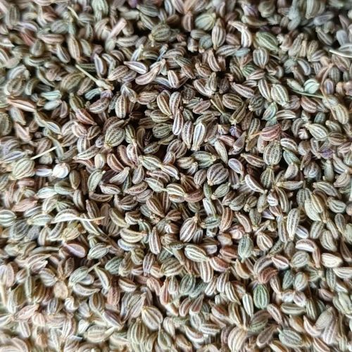 Carom Seeds, Color : Brown, Packaging Size : 25Kg