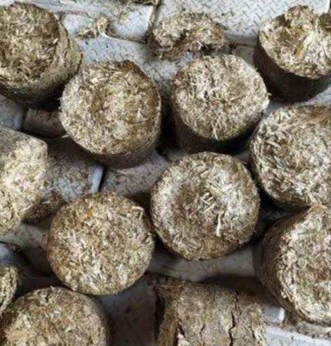 Hard Natural biomass briquettes, Packaging Type : Brown
