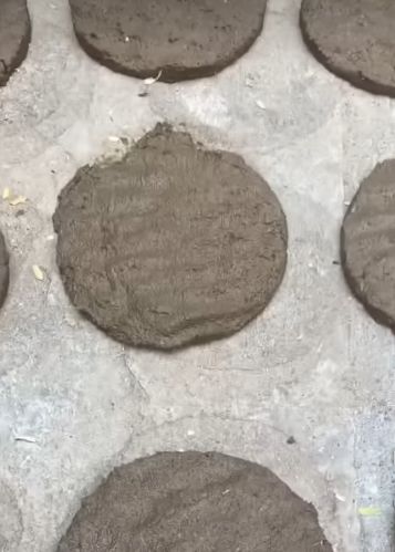 Cow dung, Packaging Type : Loose