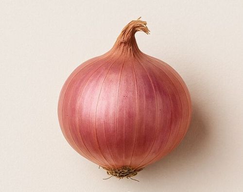 Medium Red Onion, Packaging Size : 25-50kg