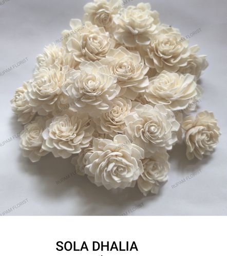 Dhalia Sola Wood Flowers, Color : White