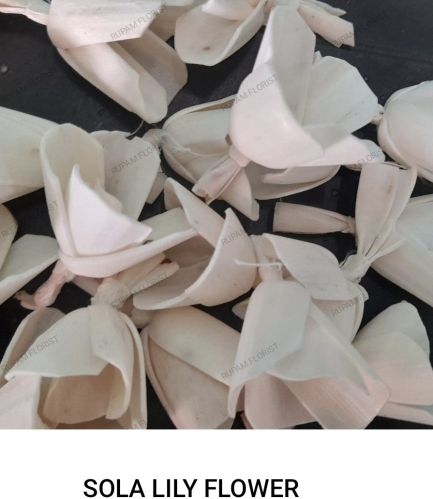 Sola Lily Flowers, Color : White, Packaging Type : Bulk Packaging