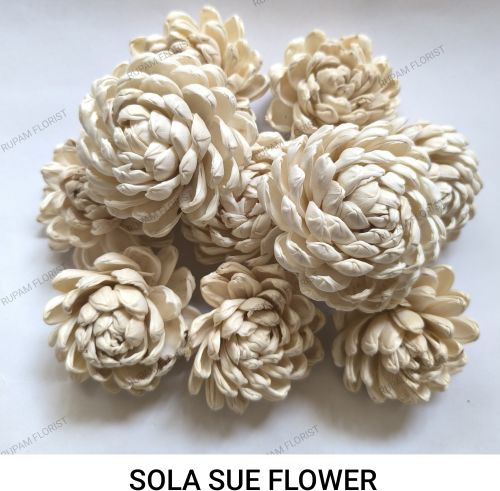 Sue Sola Wood Flowers, Color : Off White