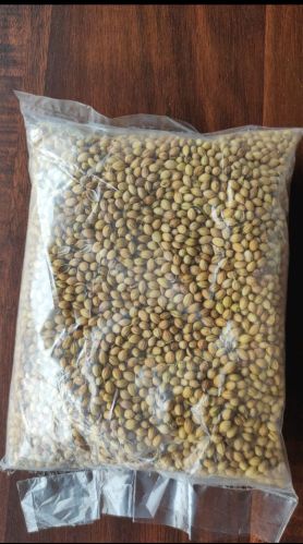 Common Coriander Seeds, Seed Type : Natural, Packaging Type : PP Bag