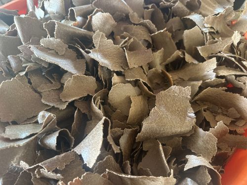 Groundnut cake, Brand Name : Golden Amrut, Packaging Type : PP Bag