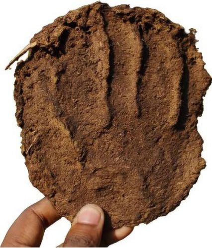 Cow dung cake, Shape : Round, Packaging Type : Brown