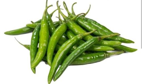 Green chilli, Packaging Type : Loose Or In Packs