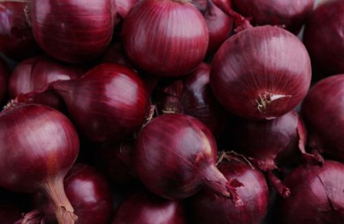 Red onion, Packaging Type : Net Bag, Loose/bulk