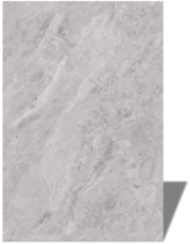 Aleron Ceramic Polished | Digimatt Terul Grey Vitrified Tiles