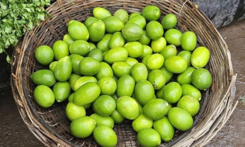 Organic Lemon, Packaging Size : 5kg, Packaging Type : Green