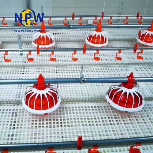PP Automatic Chicken Feed Pan System, Brand Name : NPW