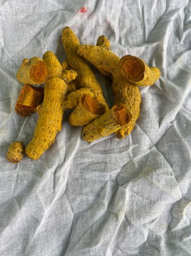 Turmeric, Packaging Size : 100g, 250g, Packaging Type : Loose